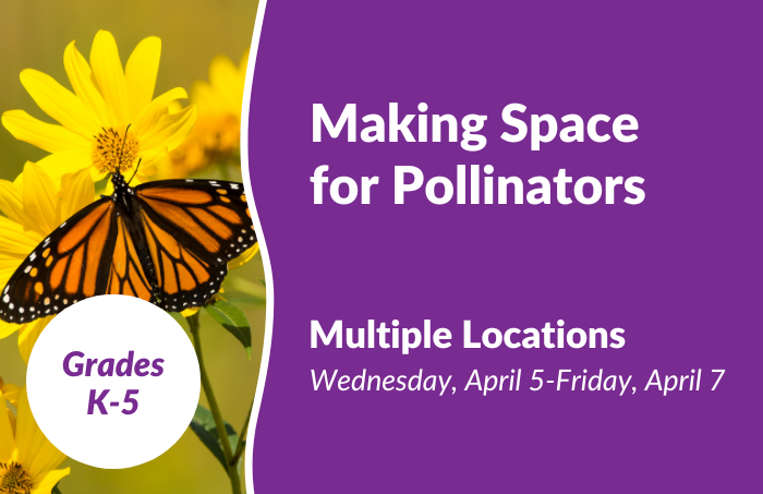 Pollinators